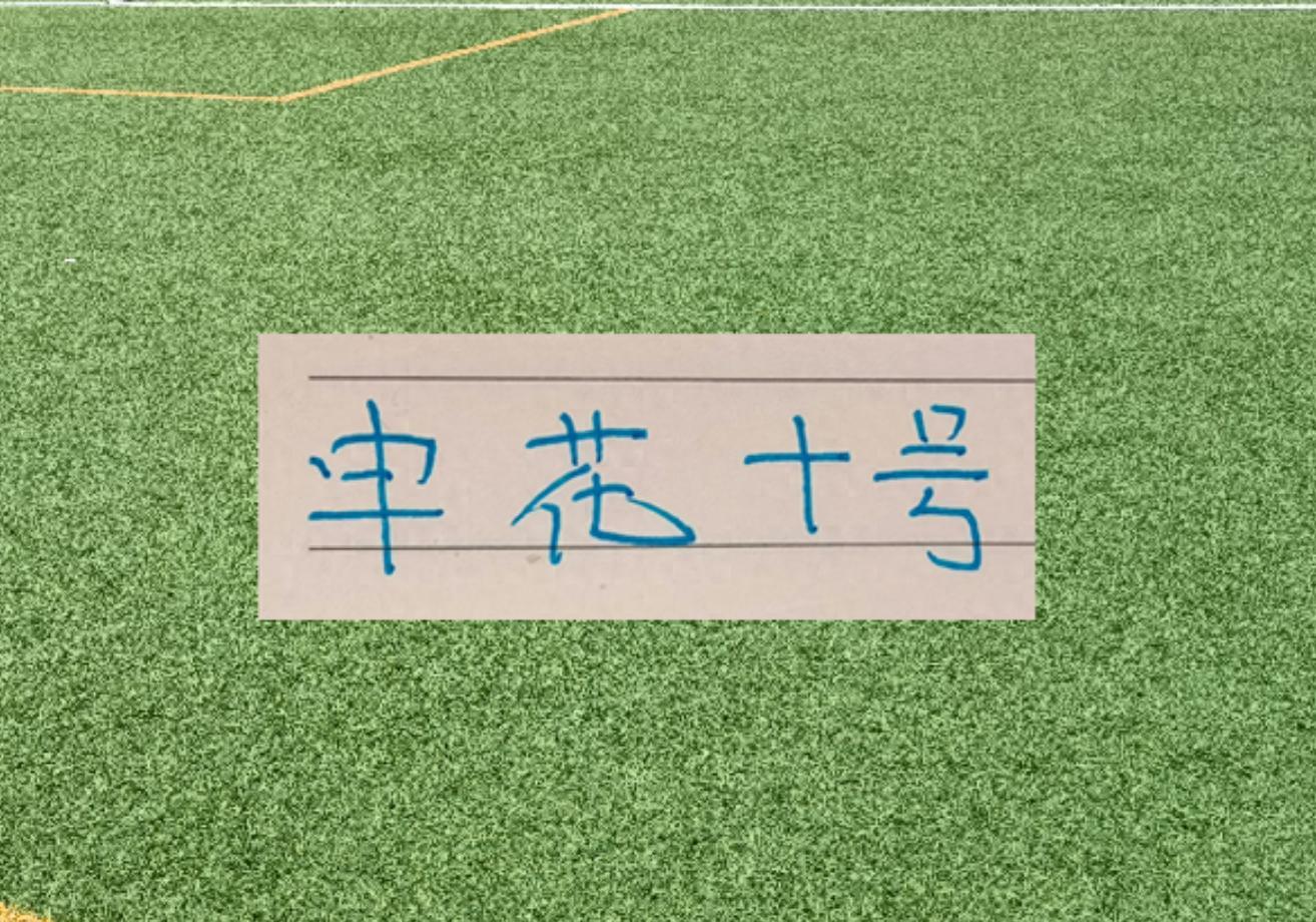 B体育-谢天谢地谢鹏飞！拉唐要敲木鱼了 今年代表申花有2黄1红了